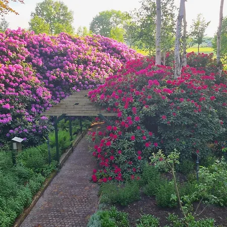 De Zeven Berken Bed & Breakfast Nistelrode