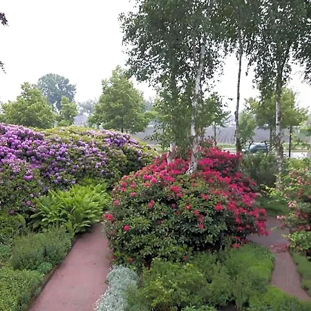 De Zeven Berken *