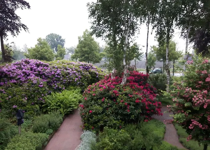 De Zeven Berken Bed and Breakfast *