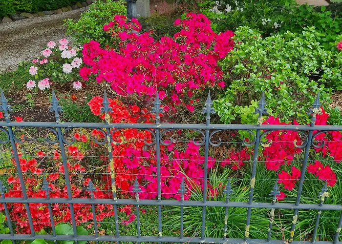 De Zeven Berken Nistelrode